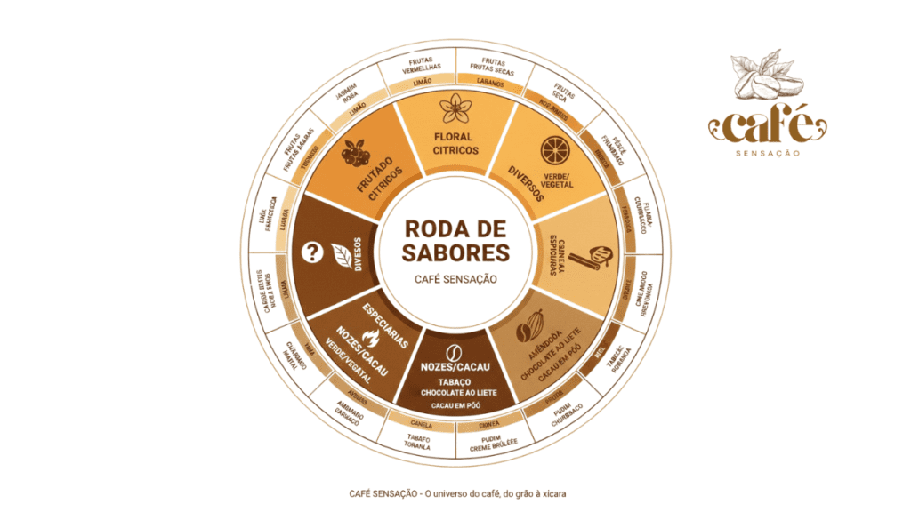 imagens matérias (1)