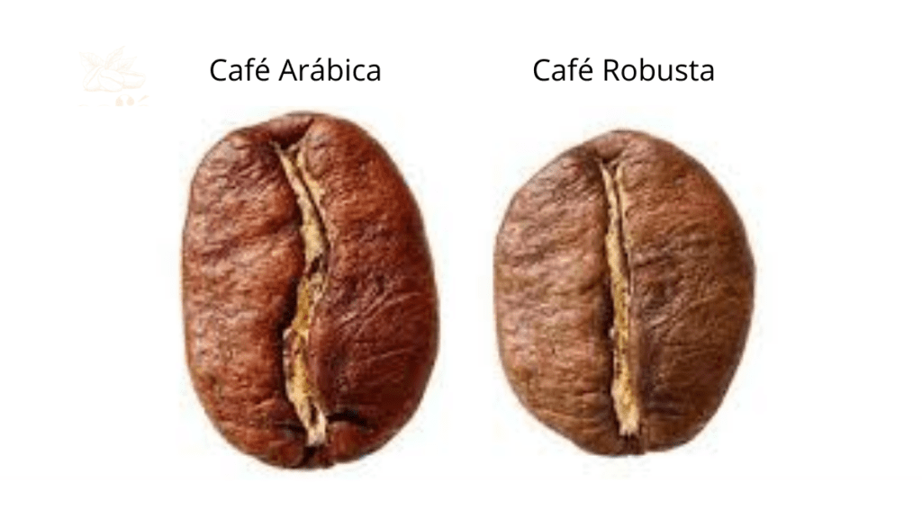 imagens café (12)