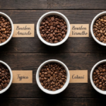 Variedades de café arábica em grãos, dentro de xícaras