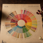 Roda de sabores do café SCA Flavor Wheel ao lado de amostras de ingredientes representando as categorias de notas sensoriais