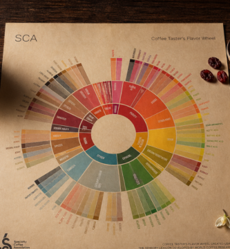 Roda de sabores do café SCA Flavor Wheel ao lado de amostras de ingredientes representando as categorias de notas sensoriais