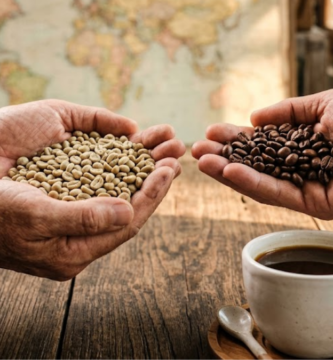 grãos de café especial